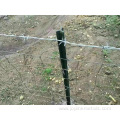 16 Gauge 500m barbed wire